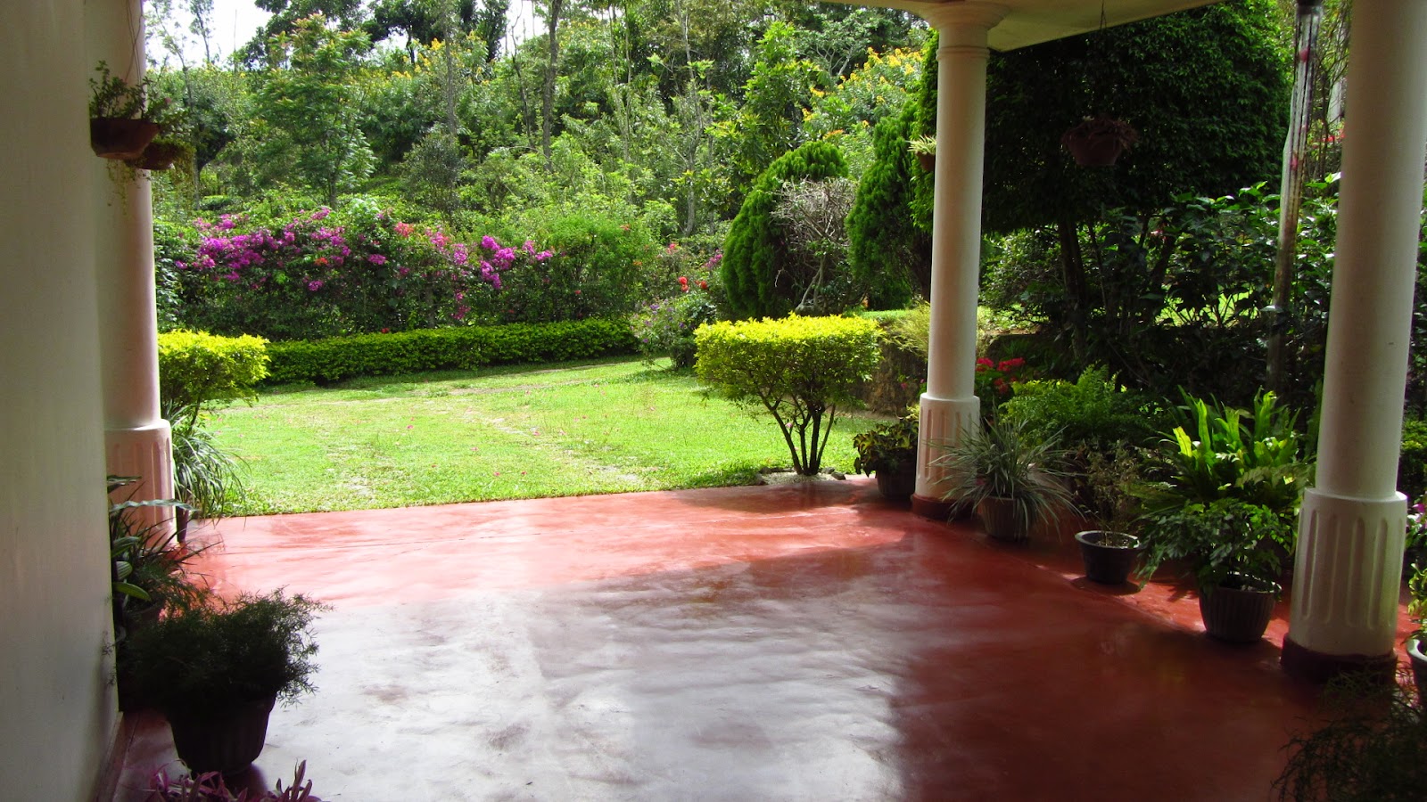 Garden verandah at Villa Krista, Ella
